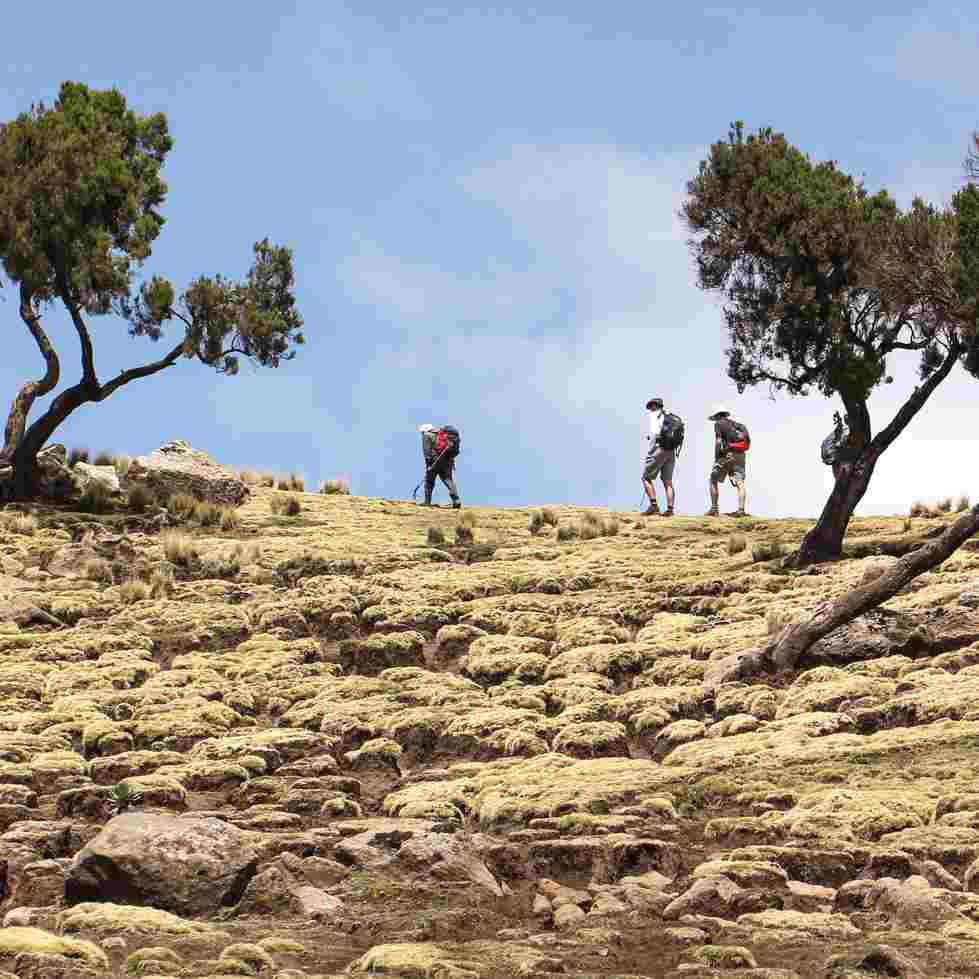 Geography, Sustainability, and Urban Planning Abroad Study Abroad